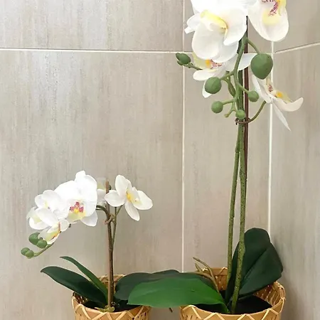 Appartement 2parkings, 2min Petitevenise-xmarché