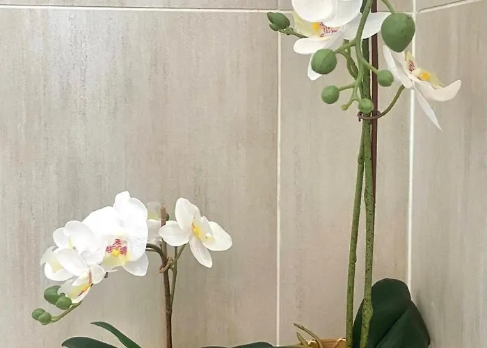 Apartamento 2parkings, 2min Petitevenise-xmarche